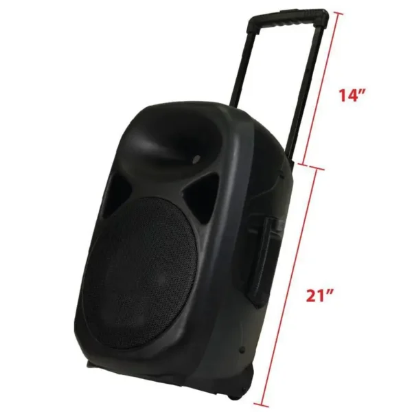 PA Speaker - Rechargeable with 2 Mics