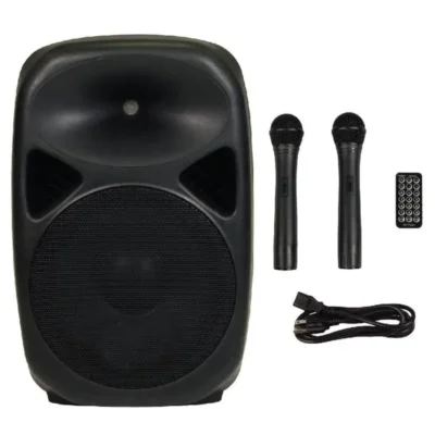 PA Speaker – Rechargeable with 2 Mics