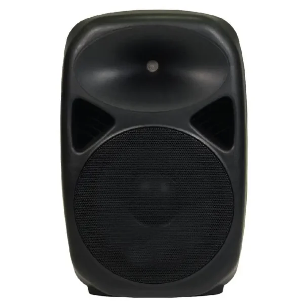 PA Speaker - Rechargeable with 2 Mics sinel sound